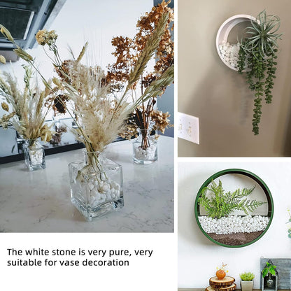 White Pebbles for Plants Garden Vases 1.8lb White Rocks Gravel Decorative Stone 1/2"……