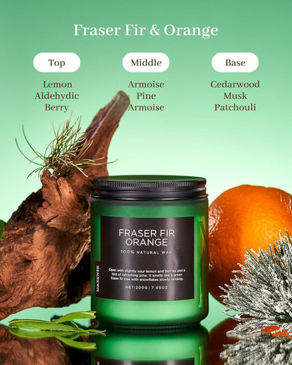 M&SENSE Fir & Orange Scented Natural Soy Wax Non Toxic Candle for Home, Cotton Wick Christmas Tree Scented 7.05oz Up to 50 Hours Holiday Aromatherapy Candle for Relaxation