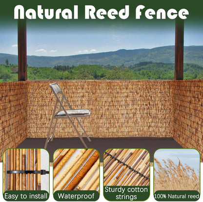 Barydat 3 Pcs 4 x 16.4 ft Bamboo Privacy Screen, Reed Fence Roller Patio Decorative Fences Reed Screen Curtain for Garden Backyard Patio Balconies