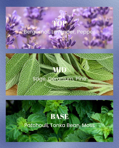 M&SENSE Bergamot Lavender Scented Candles,Vegan Soy Wax,No Toxin,10oz 42-Hour Slow Burning Time, Pepper Scented Candle, High Intensity,Air Purifying Aromatherapy Relaxing Office Home Fragrance