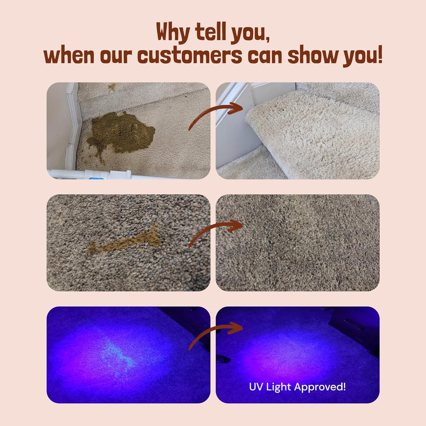 Sunny & Honey Pet Stain Remover & Enzyme Cleaner - 32 Fl Oz, Fall Spice - Carpet Deodorizer & Urine Odor Eliminator for Dog Pee, Cat Urine, Upholstery & Furniture