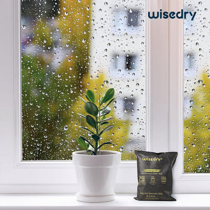 wisedry 10 x 500 Grams [11 lbs] Rechargeable Silica Gel Car Dehumidifier, Microwave Fast Reactivated Desiccant Packets Large for Gun Safe Closet Basement Garage Storage Moisture Absorber Bag Reusable