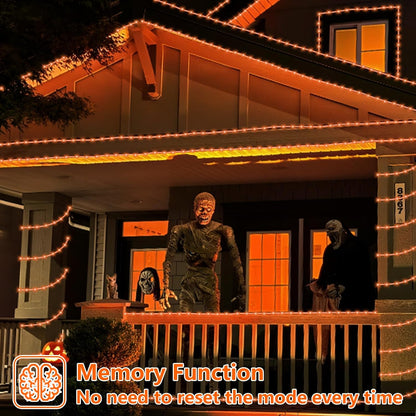 YEGUO Orange Lights for Halloween, 2 Pack Each 33ft 100 LED Rope Lights Outdoor, 8 Modes Fairy Lights in Clear Thin Tube for Fall Autumn Thanksgiving Halloween