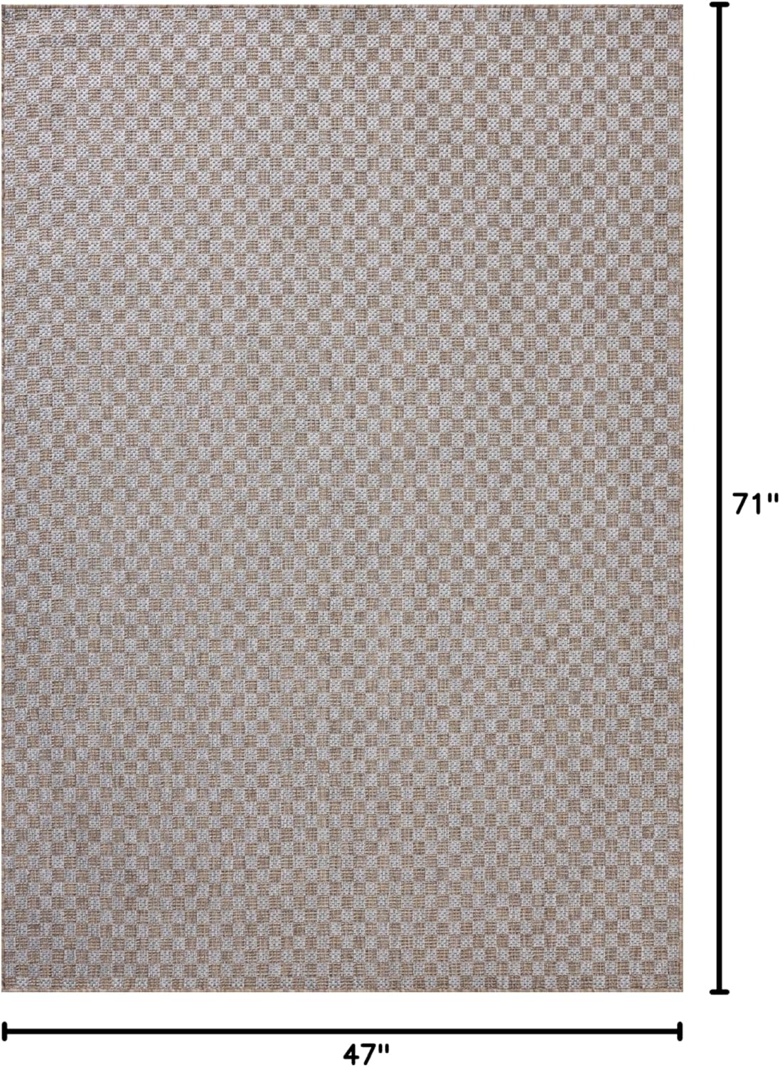 Loloi Amber Lewis Topanga Collection TOP-02 Natural/Silver 3'-11" x 5'-11" Indoor/Outdoor Accent Rug