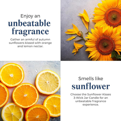 PartyLite 3-Wick Jar Candle, Highly Fragranced Clean Burning Glass Candle, 25-45 Hours Burn Time (Sunflower Kisses)