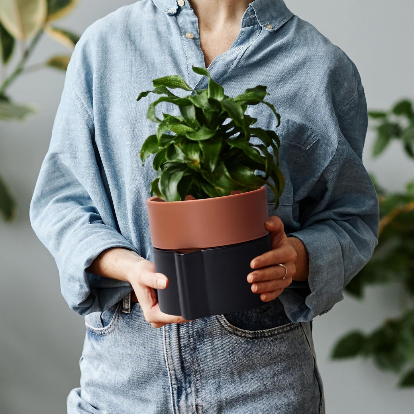 6.5 Inch Self-Watering Planter Pot with Terracotta Insert, Deep Water Reservoir, and Ceramic-Alike BPA-Free Plastic Pot for Plant, Modern Planter for Houseplants, Black/Terracotta, 53-B-S-5