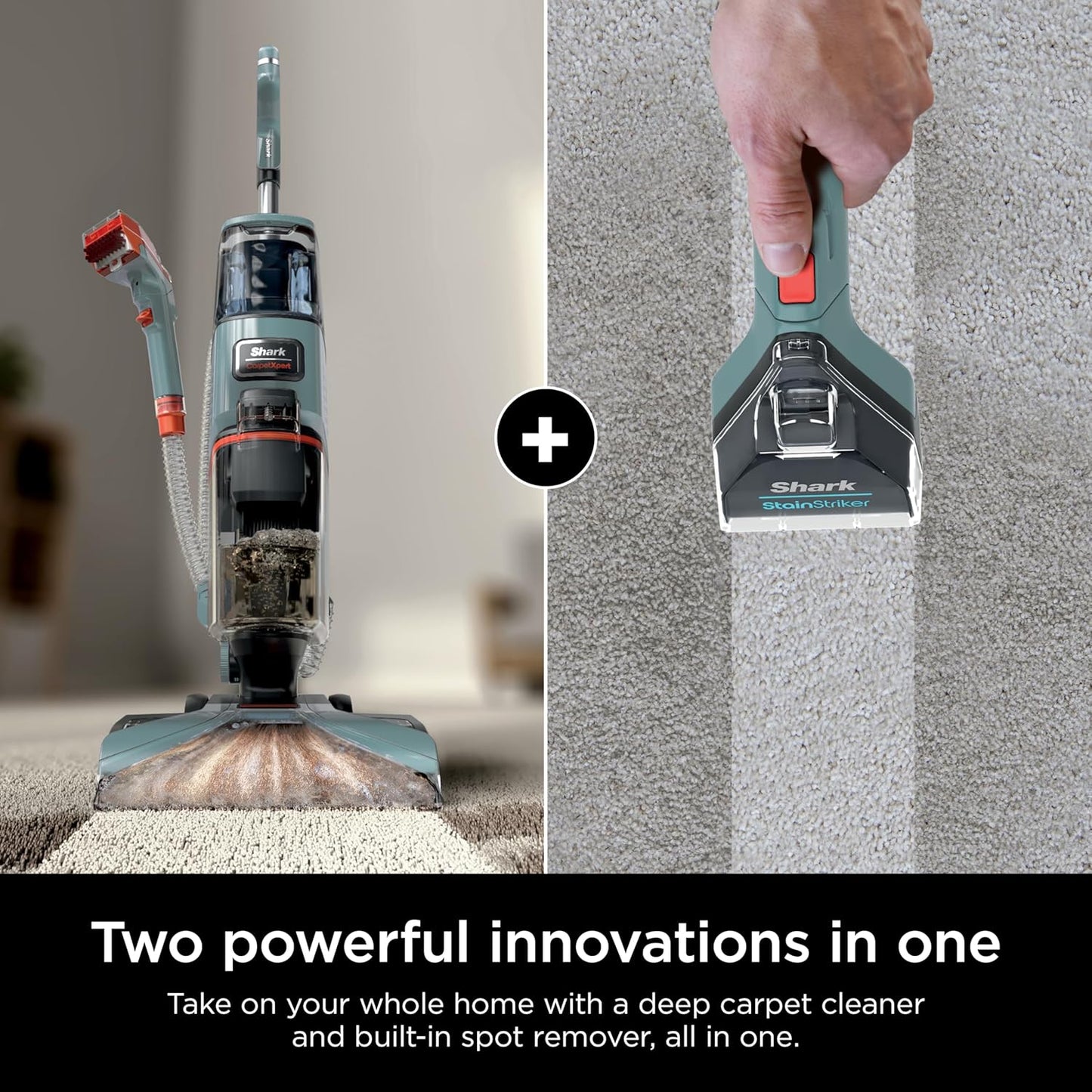 Shark CarpetXpert Upright Carpet, Area Rug & Upholstery Cleaner, Built-In Spot & Stain Remover & XL Tool, Perfect for Pets, Carpet Shampooer, 3 Cleaning Tools, Cleaning Solution, Slate Green, EX151