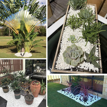 White Pebbles for Plants Garden Vases 1.8lb White Rocks Gravel Decorative Stone 1/2"……