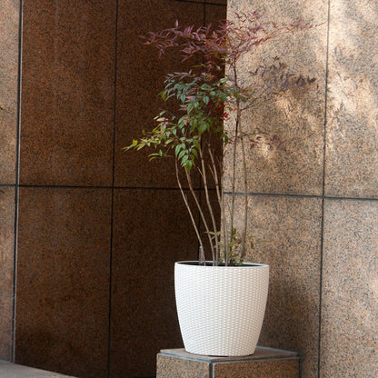 Dexceder 15x14 Rattan Self Watering Planter with Wheels Indoor Outdoor, Inner Pot Design, Thickened Large Floor Standing Flower Plant Pot with Water Level Indicator (Ivory White)