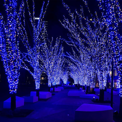 2-Pack 200 LED Solar Fairy Lights Outdoor, Upgraded Oversize Lamp Beads & Super Bright Solar String Lights Outoor, 8 Modes Solar Lights for Garden Patio Decorations（Blue&White）