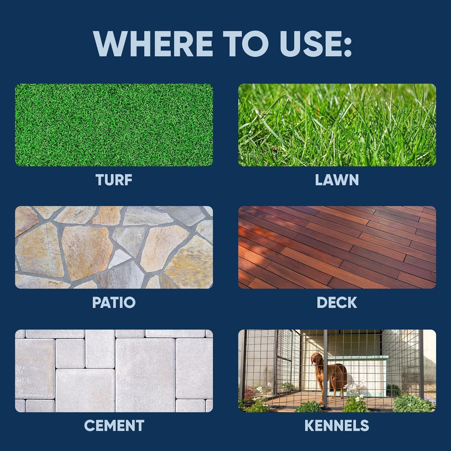 Eco Strong Outdoor Odor Eliminator | Outside Dog Urine Enzyme Cleaner – Powerful Pet, Cat, Animal Scent Deodorizer | Professional Strength for Yard, Turf, Kennels, Patios, Decks (Gallon with Sprayer)