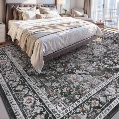 AMOAMI-3X5 Area Rug-Soft Washable Rugs for Living Room Bedroom -Non Slip Entryway Rug-Indoor Vintage Throw Rug Accent Rug for Living Room Laundry Room Kitchen Bathroom Bedside Dark Grey & Black