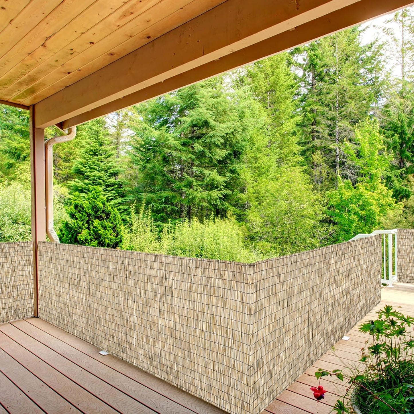 Natural 6FT X 16.4FT Reed Fencing Roll, Balcony Privacy Shade Reed Bamboo Fencing Garden Fence Border, Wind Block Sunshade Fence Screen for Outdoor Yard Patio Flower Bed Edge