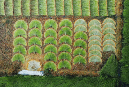 Coco Deluxe Vietnamese Natural Straw Broom /40" Handmade Soft Grass Broom for Indoor & Outdoor/Choi Bong Co Viet NAM Cao Cap (1)