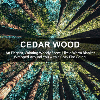 ROSE COTTAGE Large 12 Packs Cedar Wood Hanging Closet Deodorizer Air Freshener Long Lasting Scented Sachets Smell Goods for House