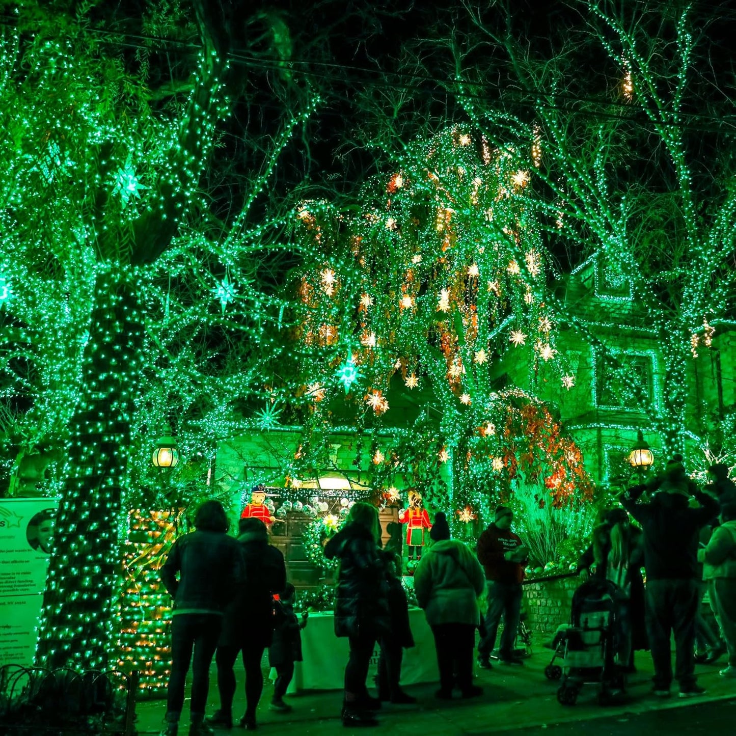 Dazzle Bright Fairy Lights Battery Operated, 4 Pack Total 80FT 240LED Silver Wire Waterproof String Lights, St. Patrick's Day Christmas Decorations for Indoor Outdoor Bedroom Yard Decor, Green