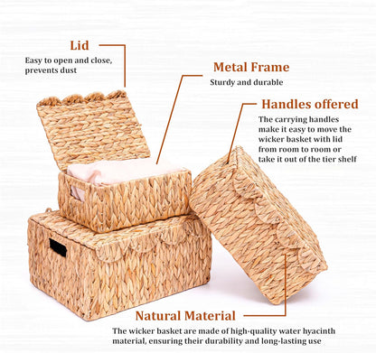 Set of 3 Scalloped Edge Wicker Basket with Lid, Rectangle Wicker Storage Basket with Built-in Handles, Multipurpose Organizer Rattan Display Boxes for Shelf, Nursery Room